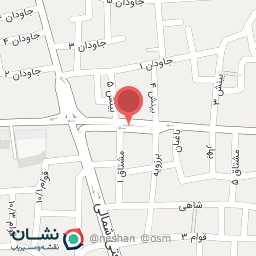 عکس کفش ملی