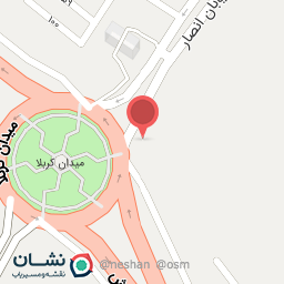 عکس تزیینات اتومبیل امین