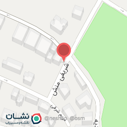 عکس پیتزا خاتون