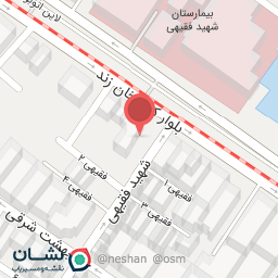 عکس دکتر مریم کامرانپور جهرمی