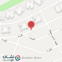 عکس پیتزا ستاره