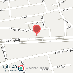 عکس کیف و کفش پدرام