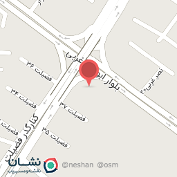 عکس الکتریکی کاکایی