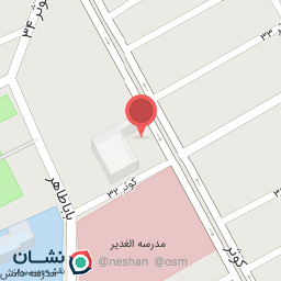 عکس الکتریکی ضحی