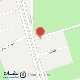 عکس چکاپ ترمز