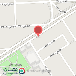 عکس موکده آریو