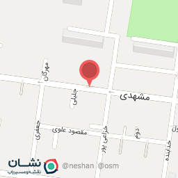 عکس فروشگاه شاینی