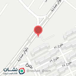 عکس شاورما بستکی