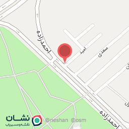 عکس پیرایش امیر