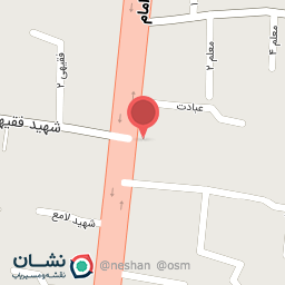 عکس کیف و کفش توت فرنگی