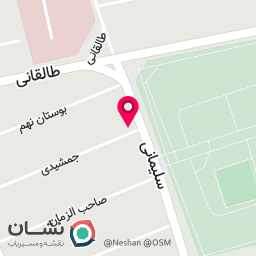 عکس تعمیر رکاب برقی تیگو 