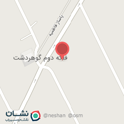 عکس توشه برگر