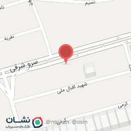 عکس کارگو برگر