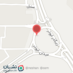 عکس کیف و کفش پانیک