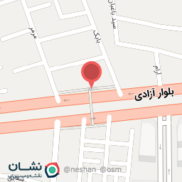 عکس پرنده سرای تخت جمشید