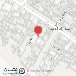 عکس نگین فاخر