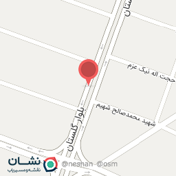 عکس فروشگاه اسنوا گلستان