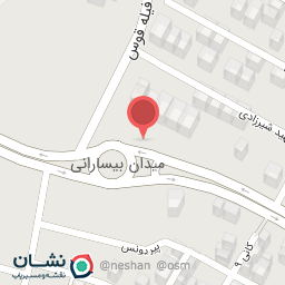 عکس پیتزا دانژه