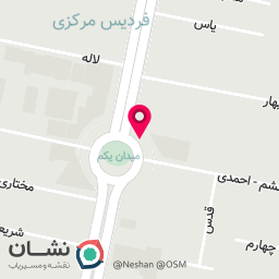 عکس آقای مس 