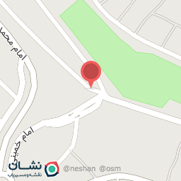 عکس مرغ وماهی شیرزاد