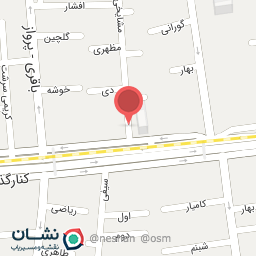 عکس دکتر نیره صادقی