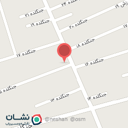 عکس قالیشویی داورزنی