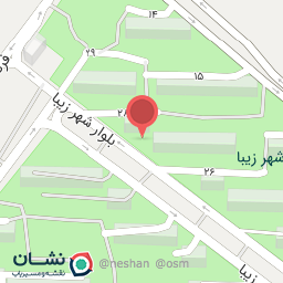 عکس پیتزا و ساندویچ مزمز