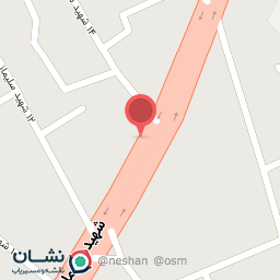 عکس پیتزا و ساندویج آریا