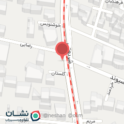 عکس باربیکیو رامنی