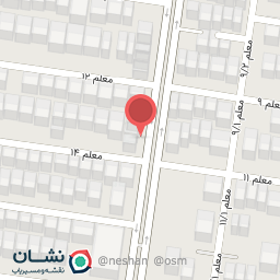 عکس کفش ارس