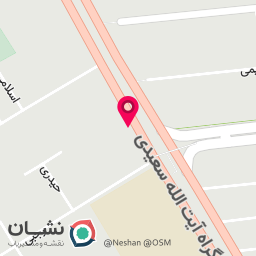 عکس اتو سرویس حمید روغنی