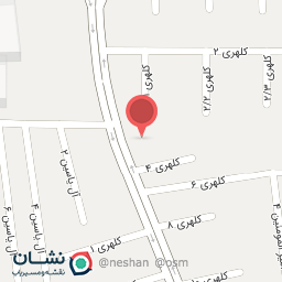 عکس یامین رایانه