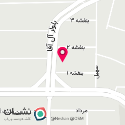 عکس اتوسرویس تکنیک