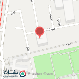 عکس کیف و کفش عروس گلین