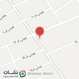 عکس مرغ و ماهی پرطلا