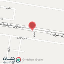 عکس گلفروشی گل آنمون