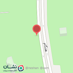 عکس انار لویزان