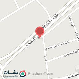 عکس غذاپزی زعفرون