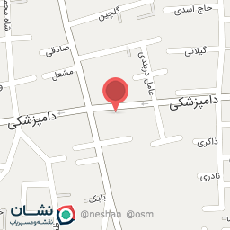 عکس کارشناسی خودرو نوروزی