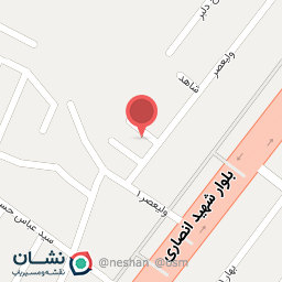 عکس هنرستان تخصصی موسیقی طنین دختران 