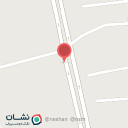 عکس فست فود علی