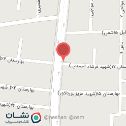 عکس پیتزا 48