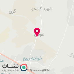 عکس دیبا مخمل توس