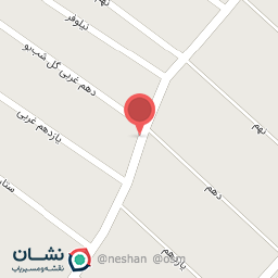 عکس اتو سرویس مهدی