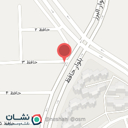 عکس پیتزا میتزا