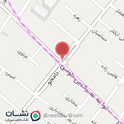 عکس نان فانتزی آروینه