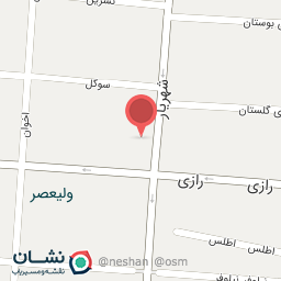 عکس دکتر منیره علی پور امتنانی