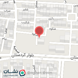 عکس بریانی دلی بال