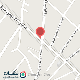 عکس خودپرداز انصار