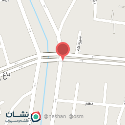 عکس سوپر میوه سعیدی